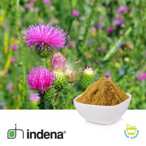 Silymarin Extract 80% by Indena