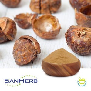 Soapnut Extract 50% Saponin by SanHerb