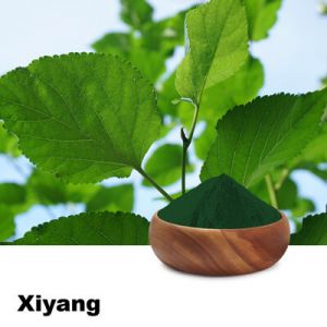 Sodium Copper Chlorophyllin by Haiyan Xiyang