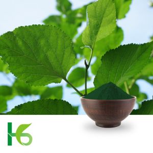Sodium Copper Chlorophyllin by Shandong Hanxing