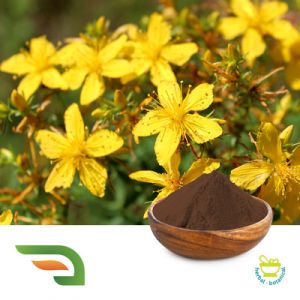 St. John's Wort Extract 0.3% Hypericin by Joywin
