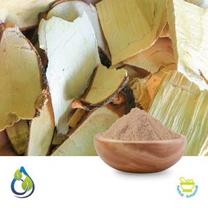 Tongkat Ali Powder (Steam Treated) by S.A. Herbal Bioactives