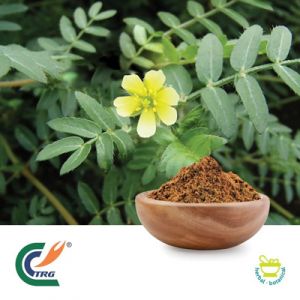 Tribulus P.E. 45% Saponins by TRG