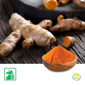 Turmeric P.E. 95% (100% Natural) by Unicorn