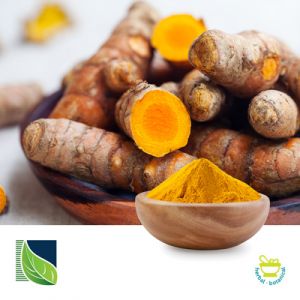 Turmeric Extract 95% by HPLC (100% Natural Grade) by Botanic Healthcare
