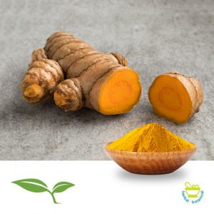 Turmeric Powder by American Botanicals