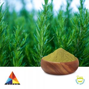Ursolic Acid 35% Powder by Super