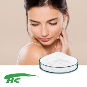 Vitamin E 50% SD CWS Powder by Tianhecheng