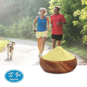 Vitamin K1 1% Powder by WanHe
