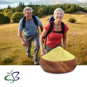 Vitamin K2 MK-7 1.0% Powder by Seebio