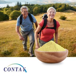 Natural All-Trans Vitamin K2 MK-7 0.2% Powder with MCC USP43 by Contay