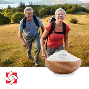 Vitamin K2 MK-7 1.3% Powder with DCP by Kingdomway