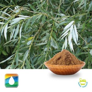 White Willow Bark Extract 2% Salicins (HPLC) by Monteloeder