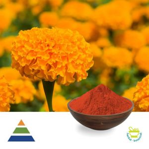 Zeaxanthin 5% HPLC by KS Nutripharma