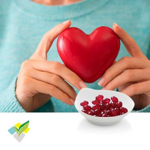 Krill Oil and Fish Oil Compound Softgel 500mg by Runxin Biotech