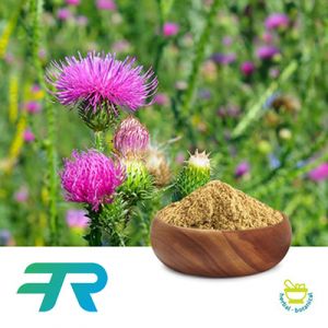 Milk Thistle 80% Silymarin by Panjin Fengrui Biotechnology