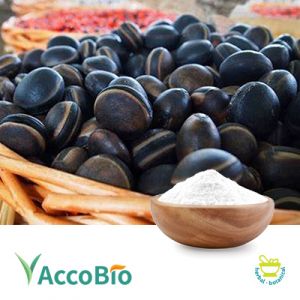 Mucuna Pruriens Extract 20% Levodopa by AccoBio