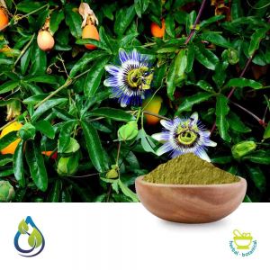 Passiflora Incarnata Herb Powder (Steam Treated) by S.A. Herbal Bioactives