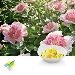 Peony Seed Oil Softgel 500mg by Runxin Biotech