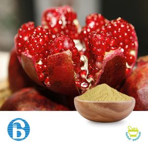 Pomegranate Extract 90% Ellagic Acid by BannerBio