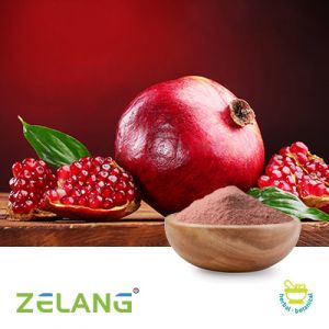 Pomegranate Juice Powder by Zelang