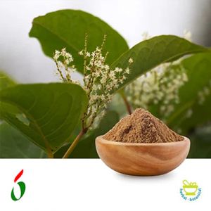 Resveratrol 50% HPLC by Dongming Growth Biotechnology