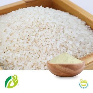 Rice Protein 80% 300 Mesh by Shunxin Shengyuan