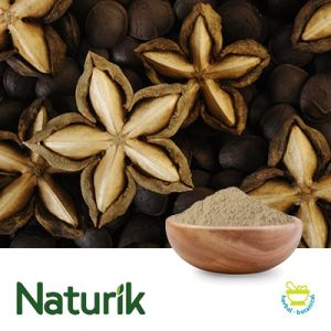 Sacha Inchi Extruded Powder Conventional by Agroindustrias Osho