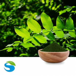 Sodium Copper Chlorophyllin by Shandong Lanmo