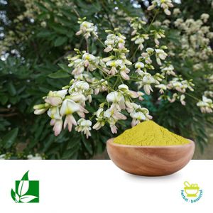 Luteolin 98% by Shaanxi Green Bio-Engineering