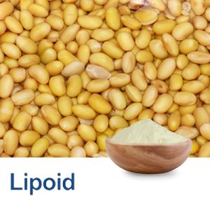 Soybean Phospholipids (Non-GMO) with 70% Phosphatidylserine by Lipoid