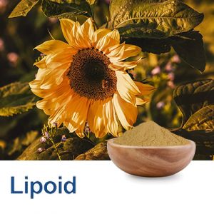 Sunflower Phosphatidylcholine (Non-GMO) with 90% Phosphatidylcholine by Lipoid