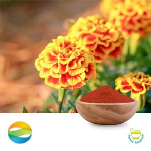 Zeaxanthin 5% HPLC by CCGB