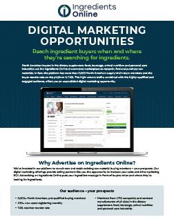 Digital Marketing Opportunities